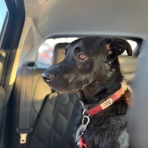 Meet your Posher, Chloe